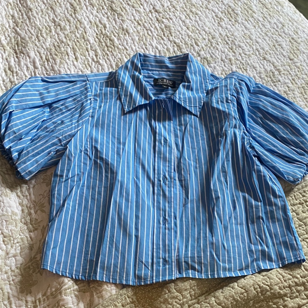 J. Crew Blue and White Puff Sleeve Shirt